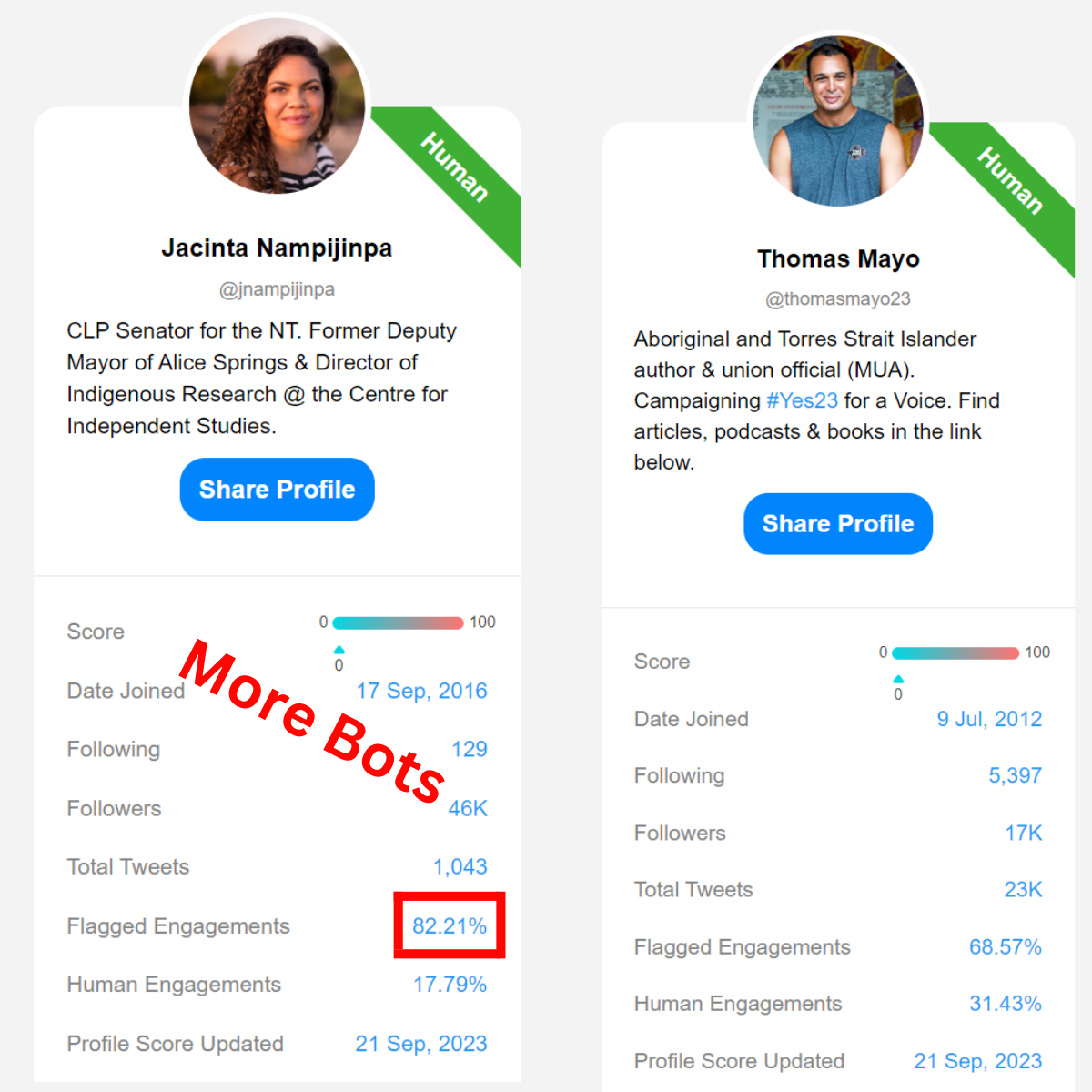 Yes Campaign has half the bots on X.com